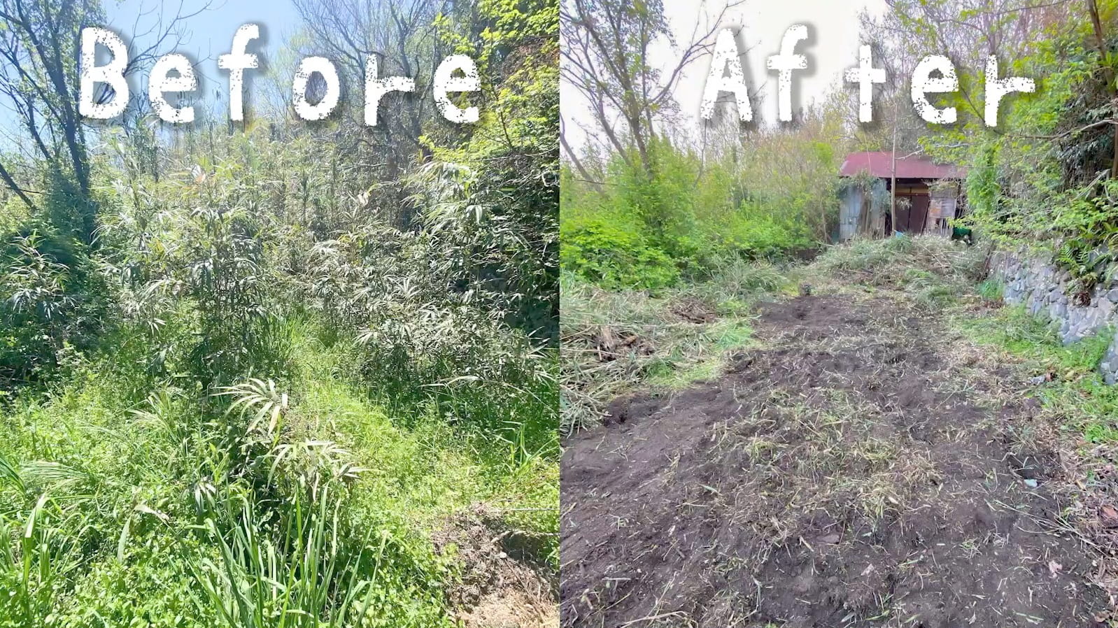 Before After